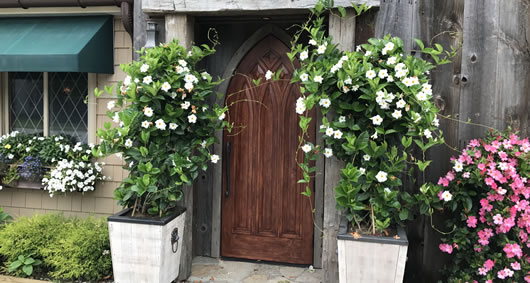 The White Horse Country Pub